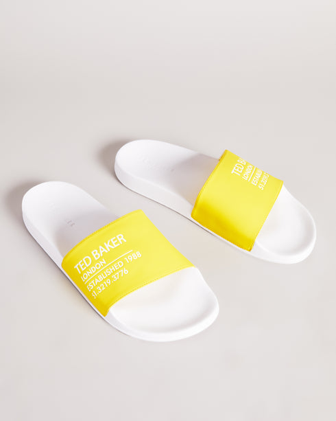 AZIELL - Ted Baker Sandals